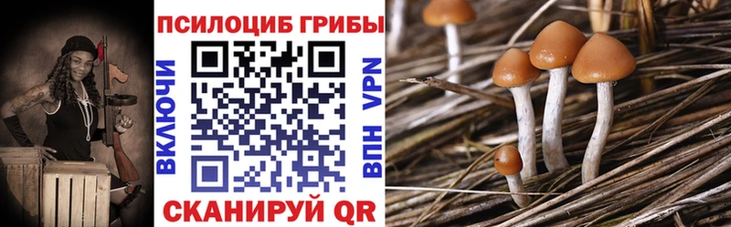 shop какой сайт  как найти закладки  Оха  Галлюциногенные грибы ЛСД  kraken вход 